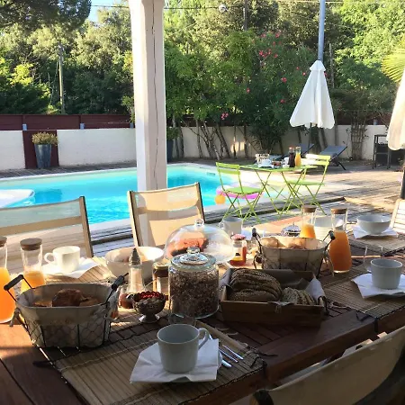 Guest house Les Amarantes